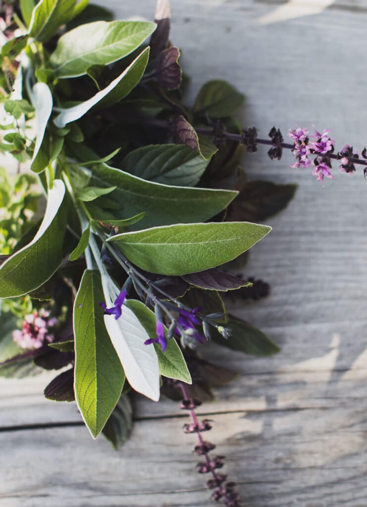 Frühling und Kräuter