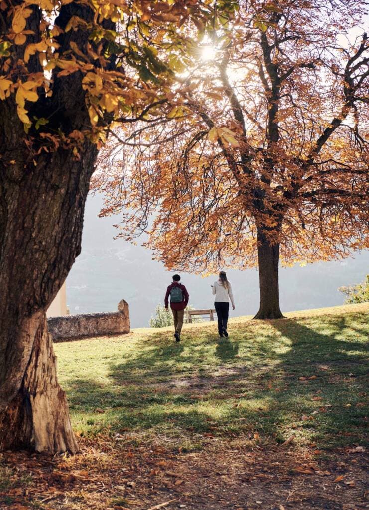 HAPPY AUTUMN – Ein Urlaubstag geschenkt